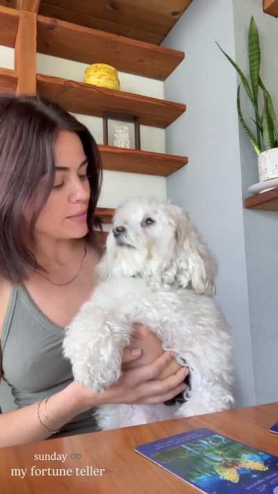 Lucy and Her Dog - Instagram 5/18/25