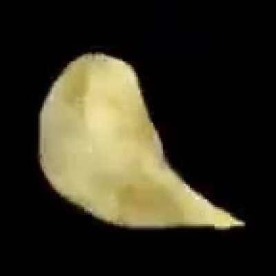 chip (spinning mov)
