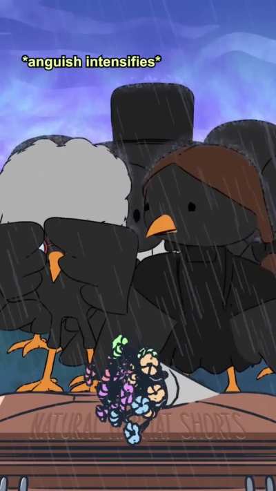 A group of crow&rsquo;s is called a murder