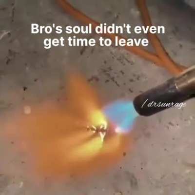 roast:100