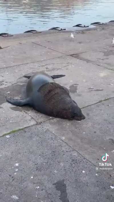 Homeless man, Nicholas, tames a wild sea in South Africa.