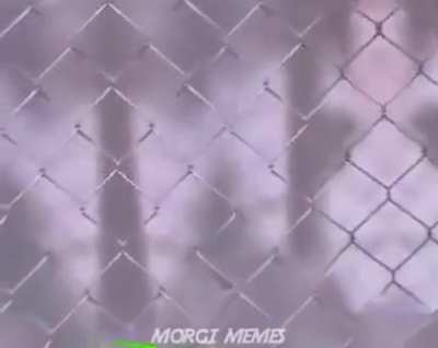 What if I told you....it&rsquo;s all a dream