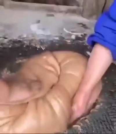 Не знаю, тэг нсфв савить или нет
