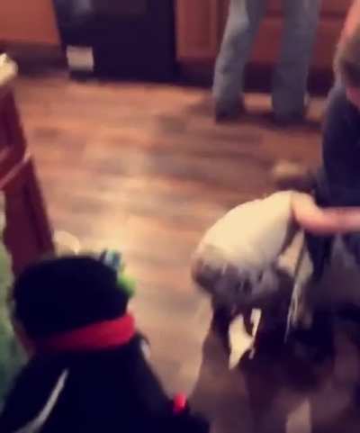My nephew is terrified of the Christmas song singing stuffed animals.