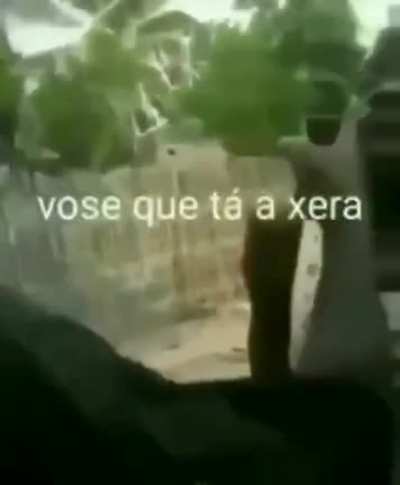 Batalha de rap