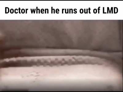 Gib money (Daily meme#188)