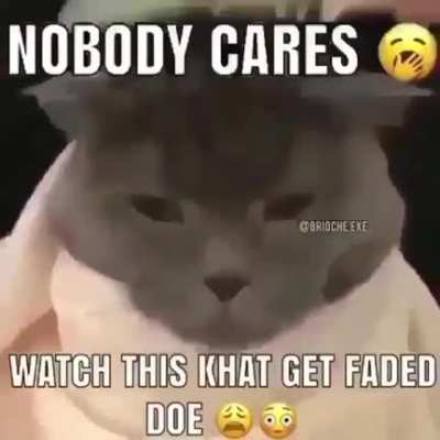 Da cat fadez