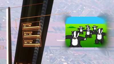Badgers everywhere!