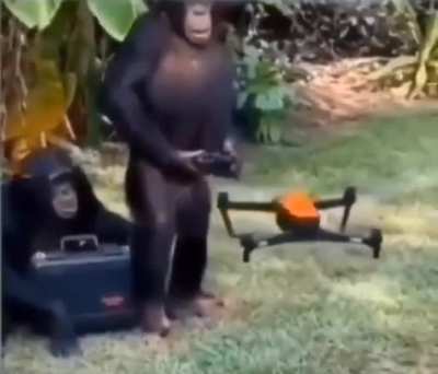 MONKE &amp;gt; kabile adam