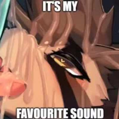 Furry🌚irl