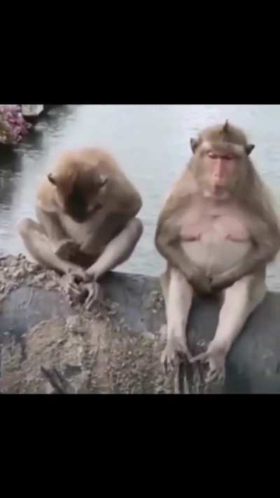 Me recuso a acreditar que esses bicho n&atilde;o pensa