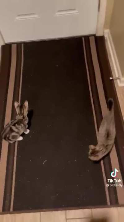 Startled in unison