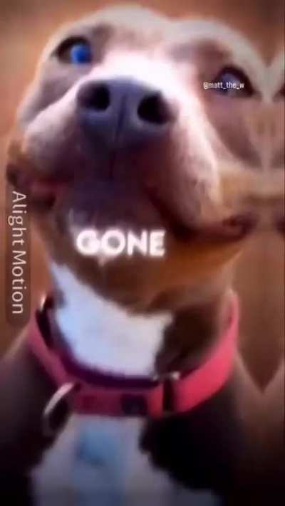 It&acirc;s gone, it&acirc;s gone, it&acirc;s gone.