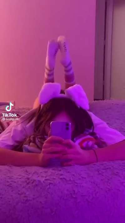🐰