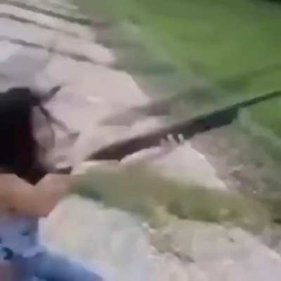 atiradores profissionais, confia