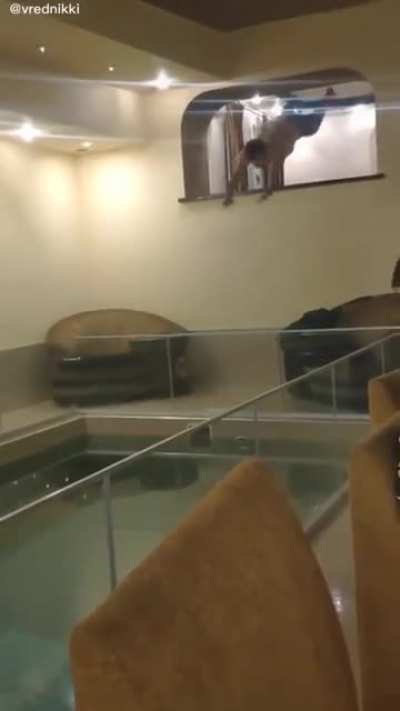 Jumping a glass fence
