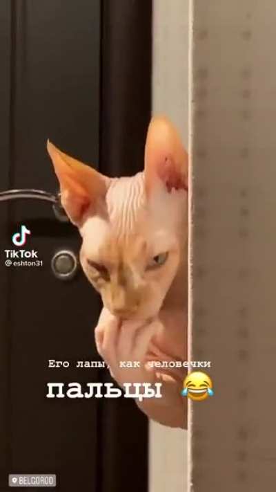 Yike!