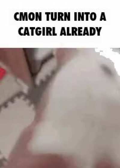 Rule