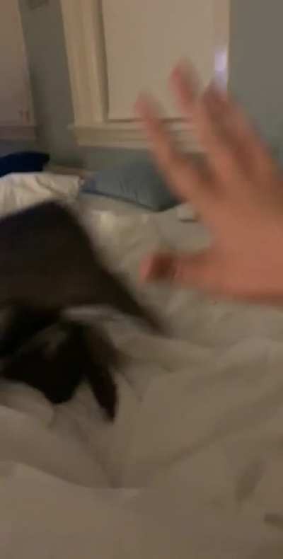 Scared for the big ol&rsquo; hand