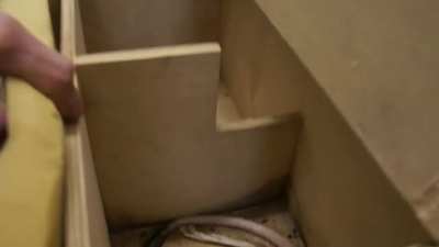 В Московском зоопарке тушканчики впали в спячку на зиму и их убрали в холодильник