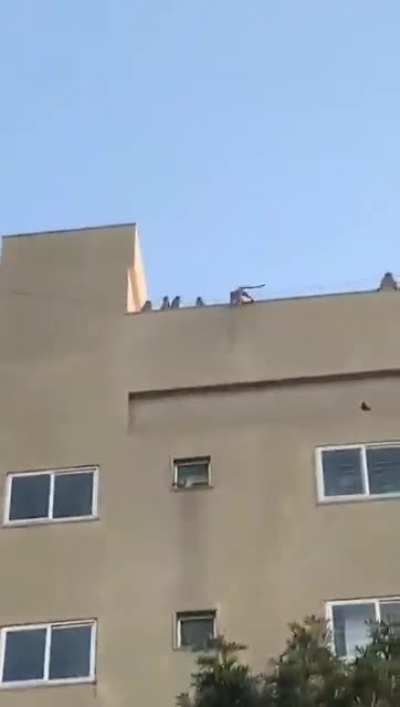 Mission impossible