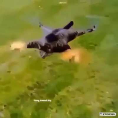 Helikopter