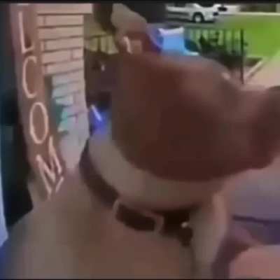 🤨
