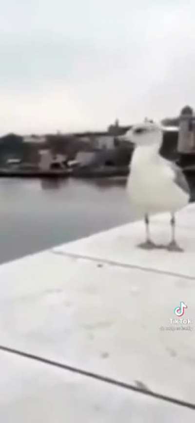 Oh no