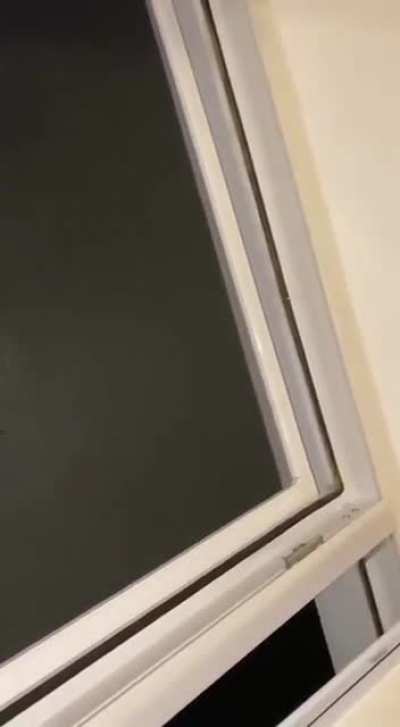 Failed window filter