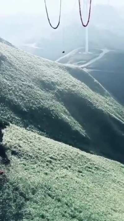 Monstrous Swing in d' Hills