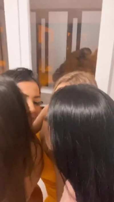Tudo q eu tenho