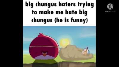 I luv chungus😇 (real)