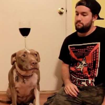 "Guess I'm a wine table now"