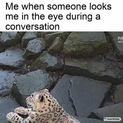 Social interaction is tough