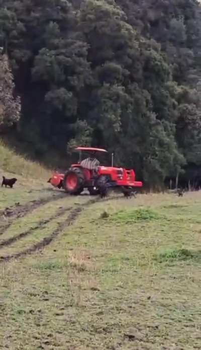 The risk farmer&rsquo;s are taking 😱