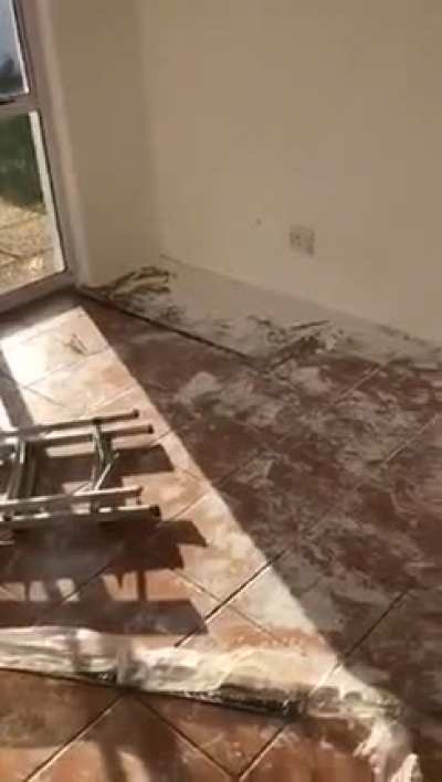 Messed up the owners house after taking too much