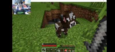 Minecraft gameplay from my twitch stream but it's perfectly cut