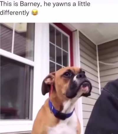 He tired