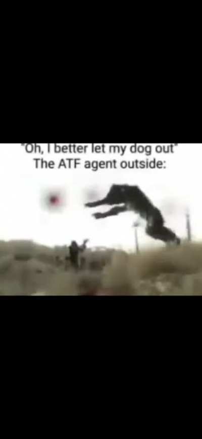 super creative ATF meme