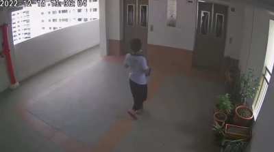 POS kid throws cat off 22th storey
