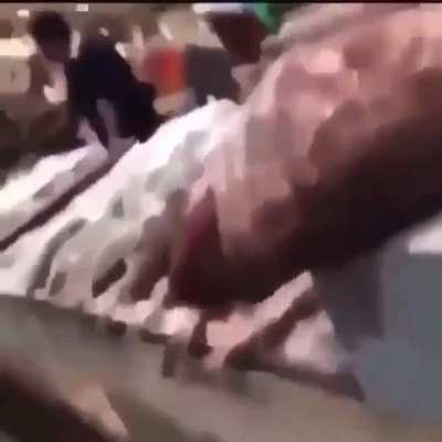 Balığı, adam &ccedil;alıyor aq