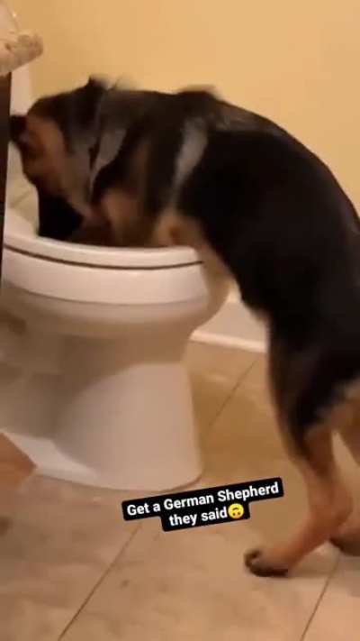 Looks fun tbh