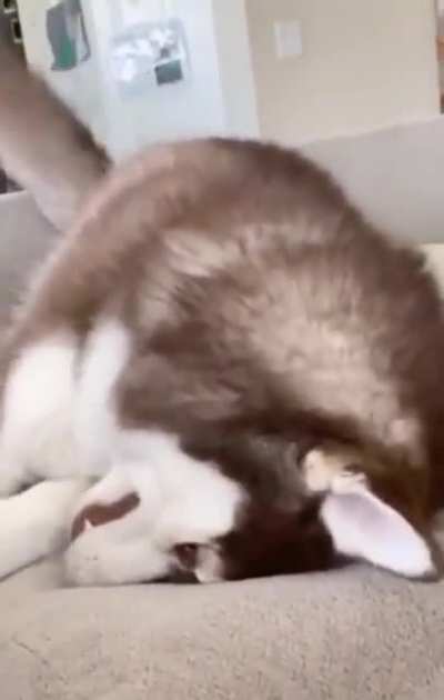 No biting tantrum