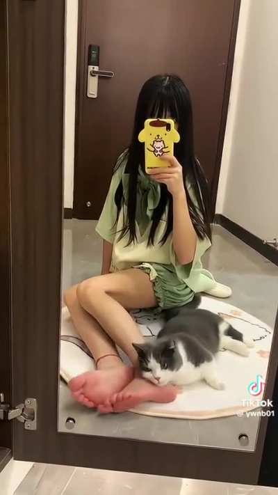 Meow