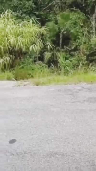 MC Shaders are so realistic. [OC for sound]