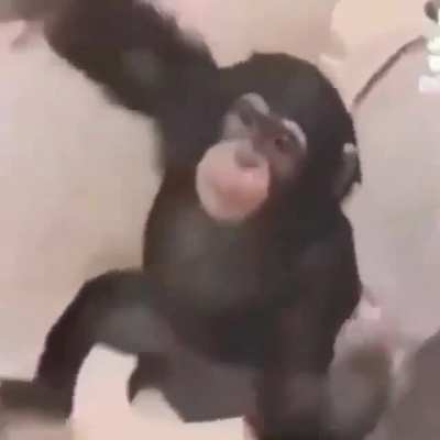 Peruano en el baño