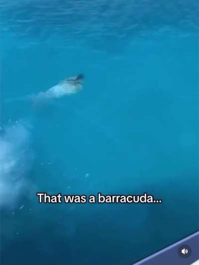 Close call.
