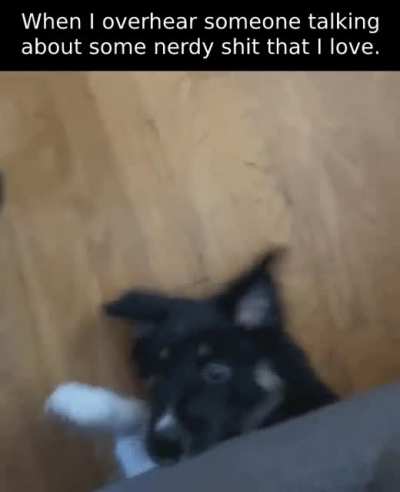 nerdy_IRL