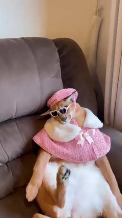 the only war crime this floppa commits is being too handsome