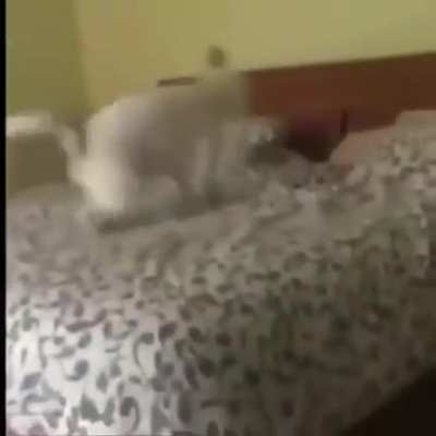 This one is called the super spin